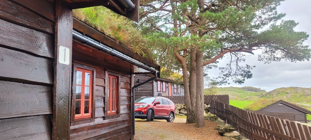 Hytte 1 med torvtak og raude vindauge, med furutre ved inngangen